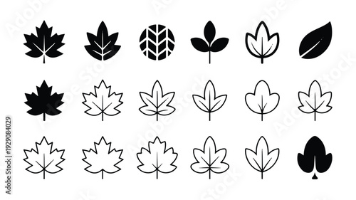 Collection of various leaf shapes and designs in black and white on a plain white background
