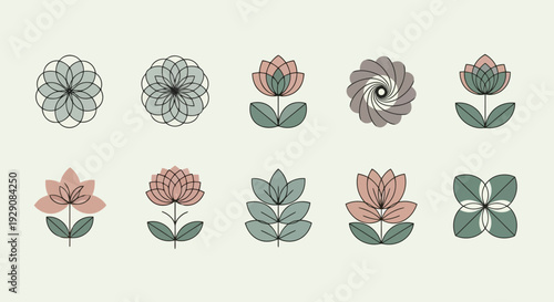 A collection of intricate floral designs showcasing various flower types and arrangements