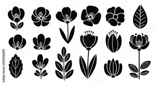 A collection of various black and white floral designs and patterns