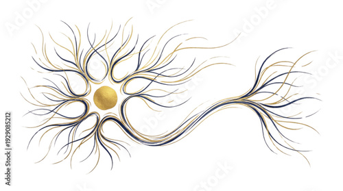 Wallpaper Mural Artistic Calligraphic Human Neuron Cell Illustration in Gold and Navy Blue Torontodigital.ca