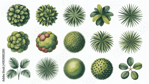 collection of various green plant sand leaves on white background