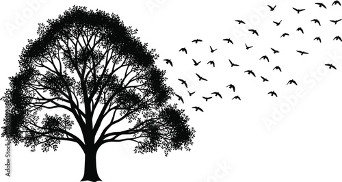 Tree with flying birds flock silhouette vector illustration, black majestic canopy and bird migration trail for nature freedom peace and inspirational