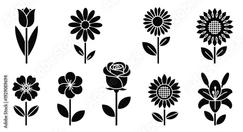 A collection of various black and white floral illustrations showcasing different types of flowers
