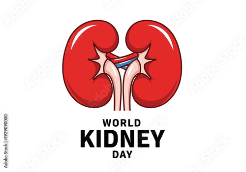 World kidney day illustration with red kidneys