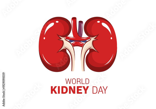 World kidney day illustration of human kidneys
