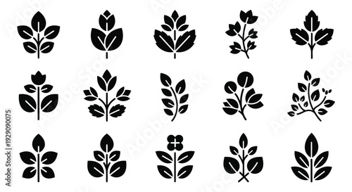 A collection of various floral designs showcasing different styles and patterns