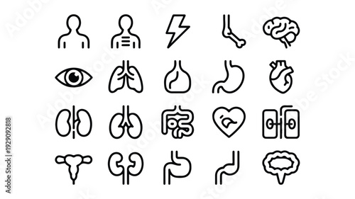medical icons of human body parts and organs in line style  health and anatomy symbols