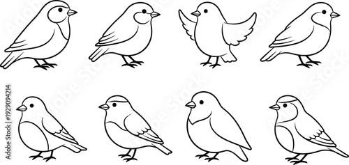 Eight cartoon style birds in various poses and angles black and white outline animals