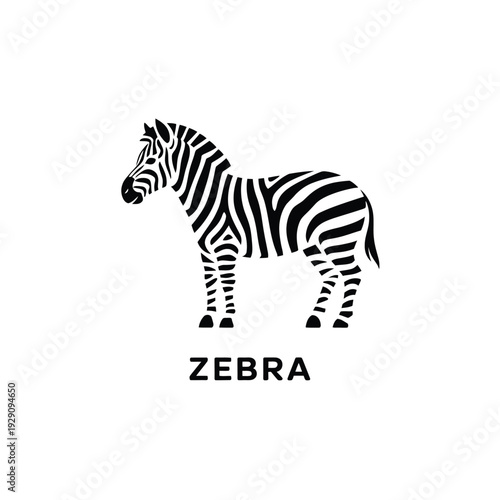A striking black and white illustration of a zebra standing prominently