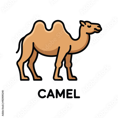 Simple cartoon illustration of a light brown camel with black outline