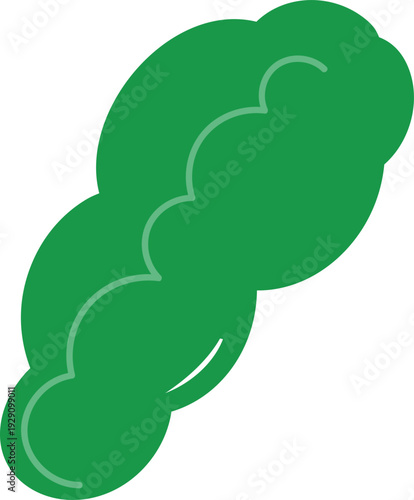 트로피컬 넓은 잎사귀 벡터 이미지