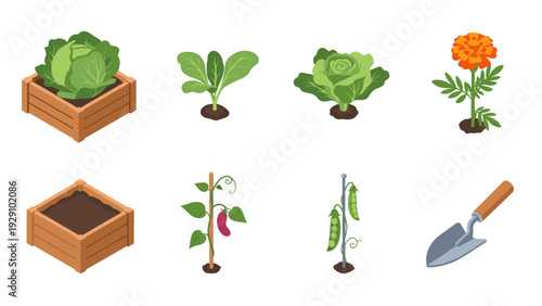 collection of hand drawn vegetable garden elements and tools in flat style
