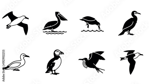 collection of hand drawn black silhouette seabirds in various poses and flying positions