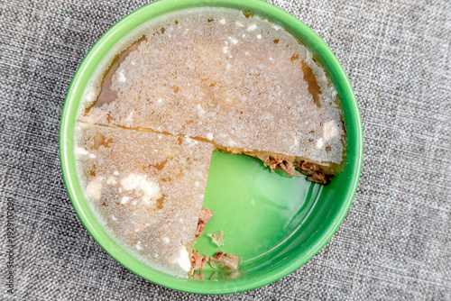 Closeup of authentic traditional Russian holodets (aspic jelly meat) served with mustard and fresh green onion, homemade food.