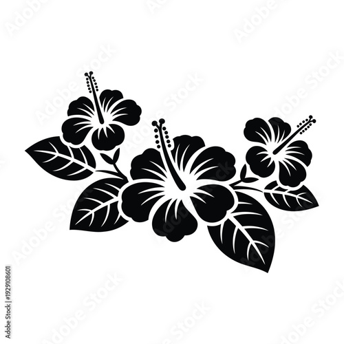Black silhouette of hibiscus flowers and leaves on a white background