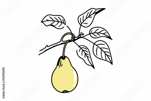 A minimalist vector illustration of a pear hanging from a branch with leaves