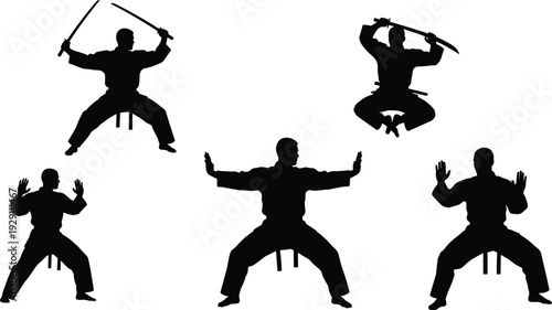 Martial arts warrior silhouette set, karate and samurai fighter poses with swords, combat training illustration isolated on white background