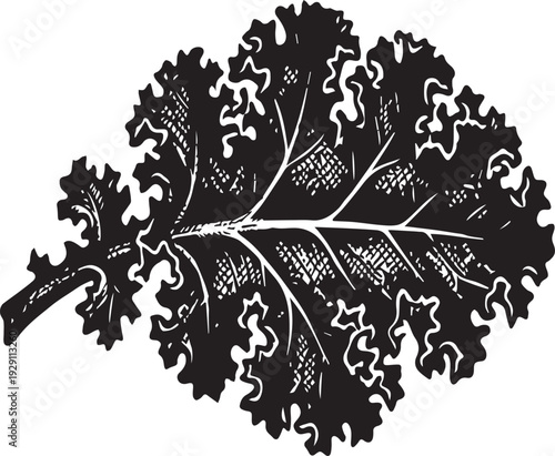 Textured Curly Kale Leaf Silhouettes for Organic Farm Branding