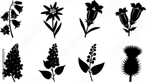 Collection of black silhouette wildflowers and plants on a white background
