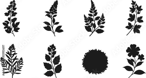 Collection of black botanical silhouettes on a white background