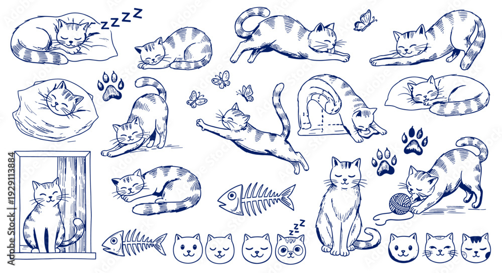 Obraz premium Charming Hand Drawn Sketch Collection of Playful Cats in Various Poses and Activities Depicting Daily Life and Feline Behavior