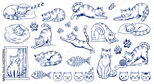 Charming Hand Drawn Sketch Collection of Playful Cats in Various Poses and Activities Depicting Daily Life and Feline Behavior