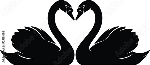 Two swans forming heart shape silhouette, romantic love symbol isolated on white background elegant illustration