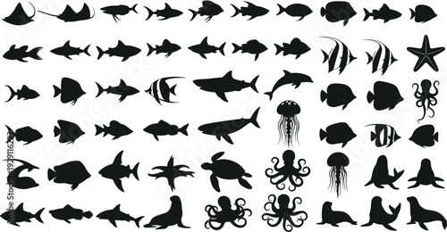 Sea animals silhouette icon set fish shark dolphin octopus turtle jellyfish marine life black vector collection