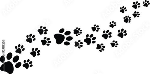 Dog and Cat Paw Print Trail Silhouette Set with Animal Footprints Path for Pet Care Design Veterinary Branding and Cute Vector Illustration