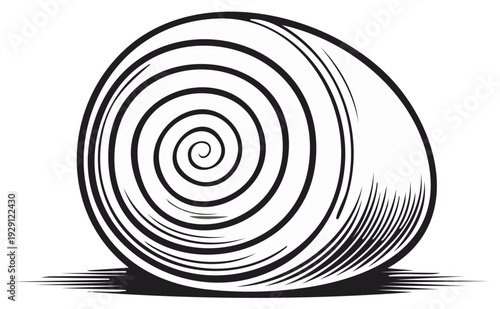 Sea Shell Illustration with Whorl Pattern and Black and White Line Art