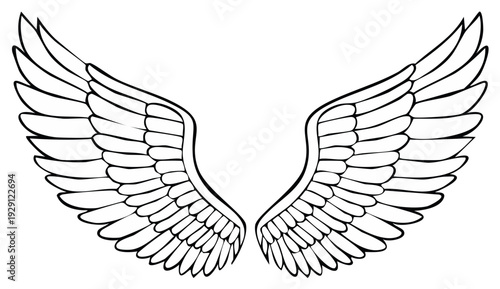Symmetrical Spread Angel Wings Black and White Line Art Illustration