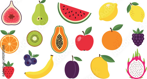Colorful Fresh Fruit Vector Illustration Set with Watermelon Lemon Mango Apple Kiwi and Tropical Collection