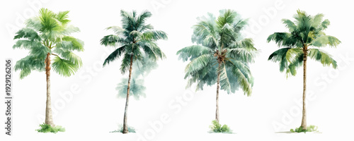 Tropical palm tree set with summer leaves and coconut plants perfect for beach designs, jungle borders, botanical wallpapers, and exotic tropical nature compositions.