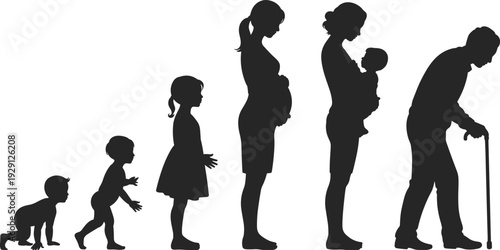Human life cycle silhouette set, baby growth stages to elderly person aging process vector illustration isolated