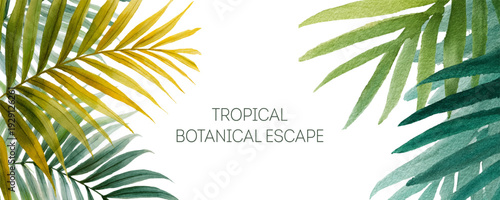 Tropical palm leaves frame with watercolor botanical border. Lush jungle foliage banner template featuring exotic green plants, perfect for summer backgrounds and vintage decor.
