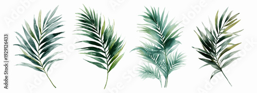 Watercolor tropical leaves set featuring lush palm foliage and jungle greenery. Vibrant botanical illustration with realistic leaf textures perfect for summer design projects and decorative borders.