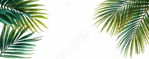 Watercolor tropical leaves banner with lush palm foliage. Exotic jungle border template featuring vibrant green botanical watercolor elements for summer design projects.