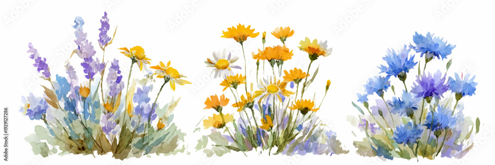 Fototapeta premium Watercolor wildflower bouquet with cornflowers, lavender, and daisies. Summer floral border perfect for wedding invitations, botanical cards, and garden-themed designs.