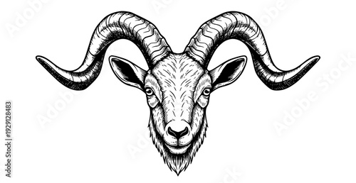 Detailed Goat Head Black and White Engraving Style Vector Illustration