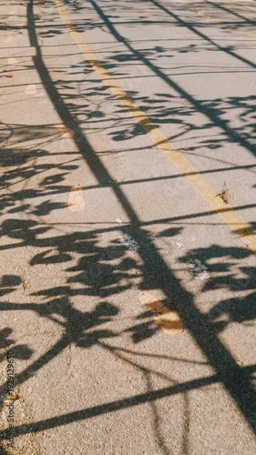 Camera footage of painted footprints on asphalt road with yellow line and dramatic tree shadows. Warm golden sunlight creates abstract pattern and journey concept.