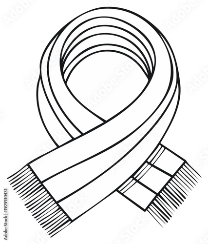 Outlined scarf with fringe, a cozy winter apparel item.