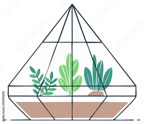 Modern botanical illustration of a geometric terrarium showcasing green indoor plants and soil