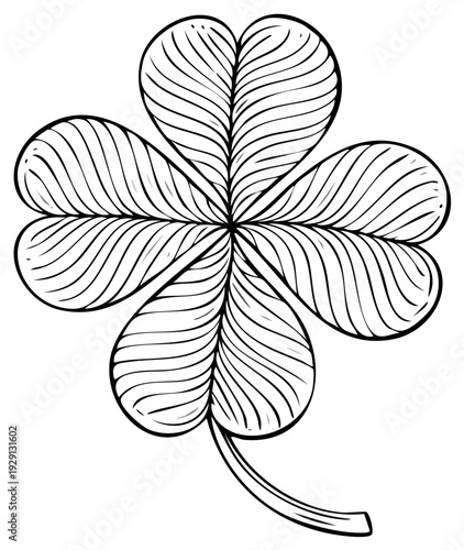 Intricate Black and White Four Leaf Clover Drawing with Detailed Leaf Veins Symbolizing Luck and Fortune