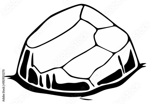 Stylized black and white illustration of a textured crystal formation with jagged edges and internal divisions