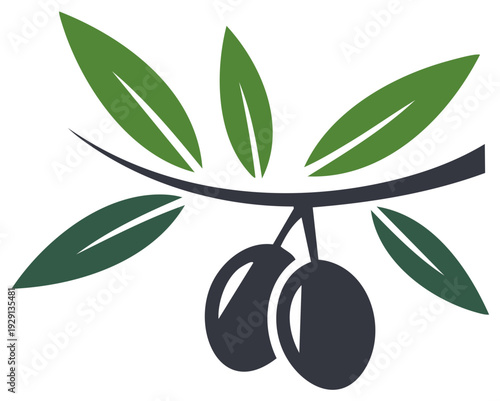 Stylized Olive Branch with Two Olives Hanging from the Limb with Green Leaves