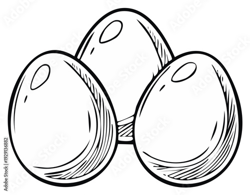 Three eggs line art for painting or design elements. Black and white drawn eggs for Easter and more. Outline egg illustration