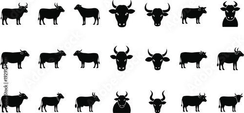 Collection of twenty cow and bull silhouette icons in grid layout, black and white livestock animal illustration, agricultural farming artwork vector design set