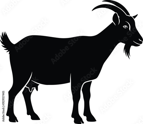 Silhouette of female goat standing in profile with curved horns, beard, and udder, black and white livestock animal illustration, agricultural farming vector artwork