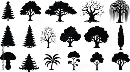 Tree silhouette collection with coniferous, deciduous, palm, willow, and mushroom, botanical shapes set, flat vector illustration for design