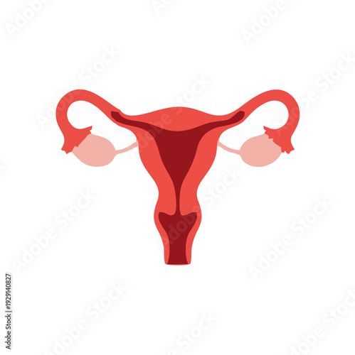 Human ovarium vector for your healthy icon set